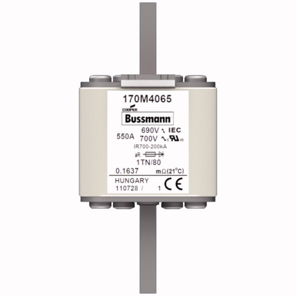 170M4065 Быстрый предохранитель 550A 690V 1TN/80 AR UC