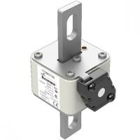170M5766 Быстрый предохранитель 1000A 690V 2FKE/115 AR UC
