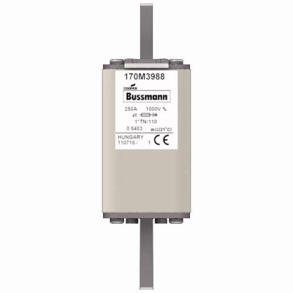 170M3988 Быстрый предохранитель 250A 1000V 1*TN/110 AR