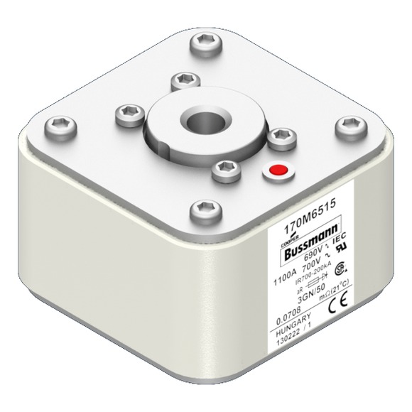 170M6515 Быстрый предохранитель 1100A 690V 3GN/50 AR UC