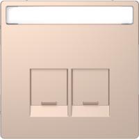 Schneider Electric MTN4574-6051 MERTEN D-Life ЦЕНТРАЛЬНАЯ НАКЛАДКА д/2-х модульных разъемов SE, ШАМПАНЬ