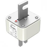 170M6165 Быстрый предохранитель 1100A 690V 3/110 AR UC