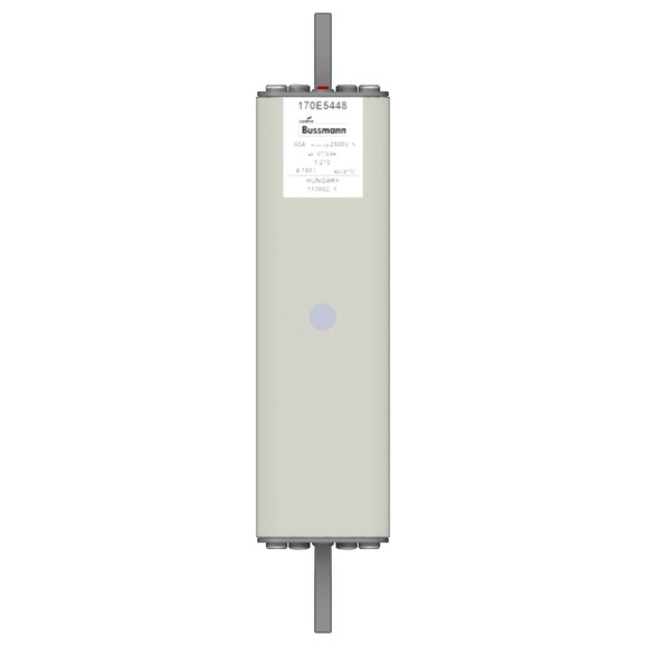 170E5448 Быстрый предохранитель 80A 2500V 1/210 AR