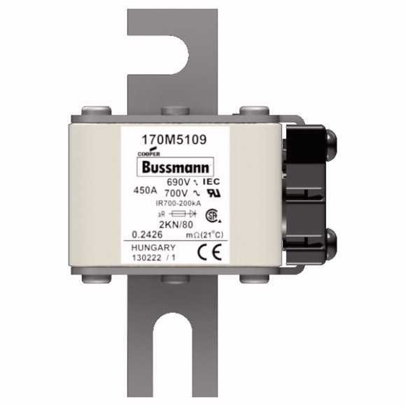 170M5109 Быстрый предохранитель 450A 690V 2KN/80 AR UC