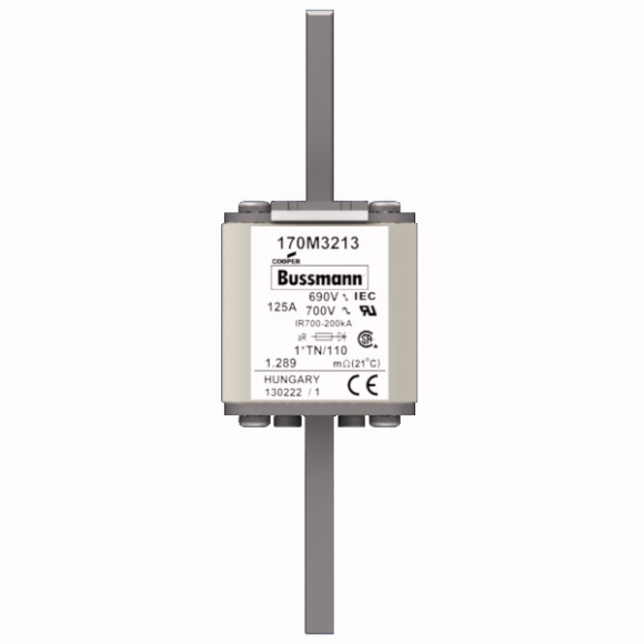 170M3213 Быстрый предохранитель 125A 690V 1*TN/110 AR UC