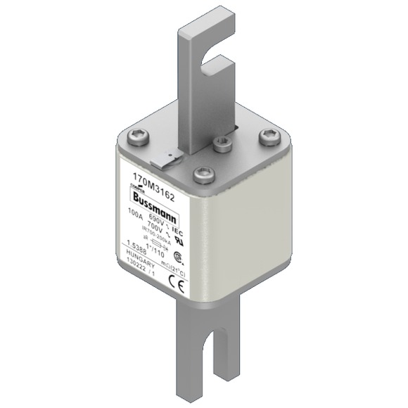 170M3162 Быстрый предохранитель 100A 690V 1*/110 AR UC