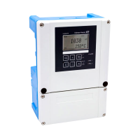 CPM253-MR0505 Endress+Hauser 