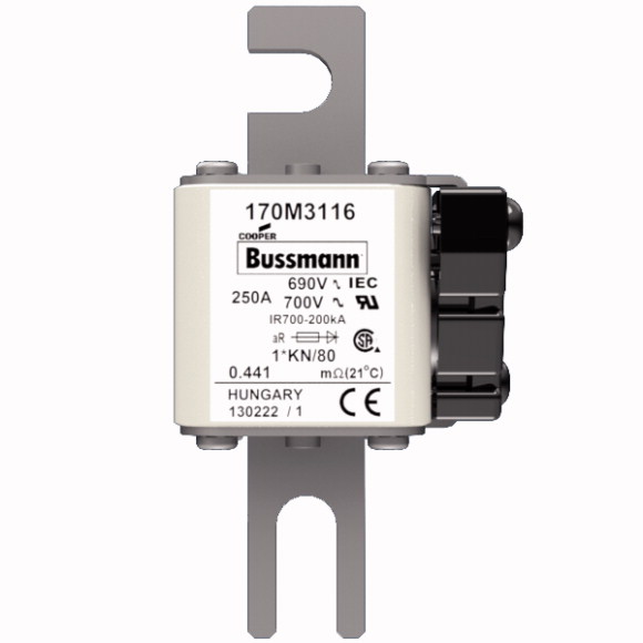 170M3116 Быстрый предохранитель 250A 690V 1*KN/80 AR UC