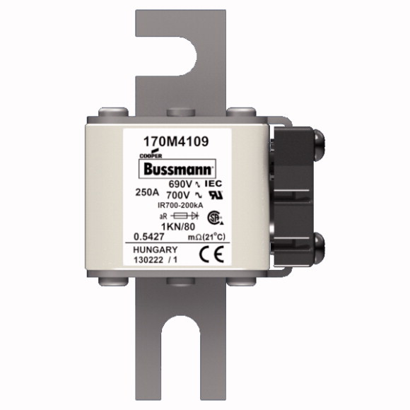 170M4109 Быстрый предохранитель 250A 690V 1KN/80 AR UC