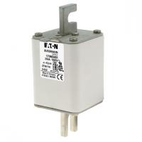 170M5981 Быстрый предохранитель 250A 1000V 2TN/110 AR UR