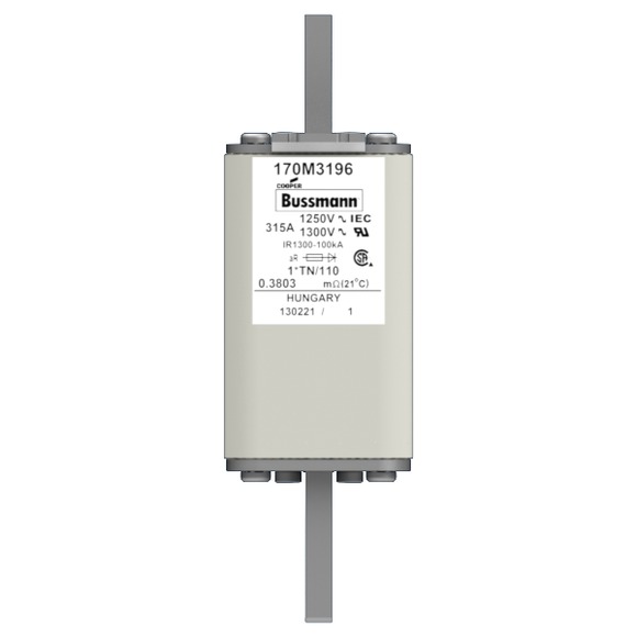 170M3196 Быстрый предохранитель 315A 1250V 1*TN/110 AR CU