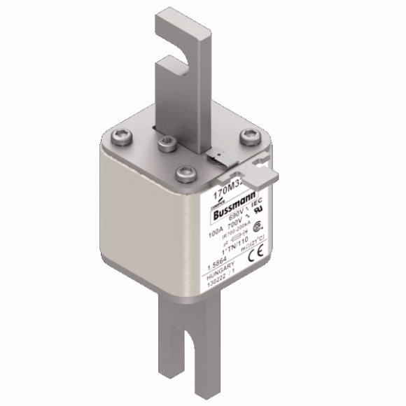 170M3212 Быстрый предохранитель 100A 690V 1*TN/110 AR UC