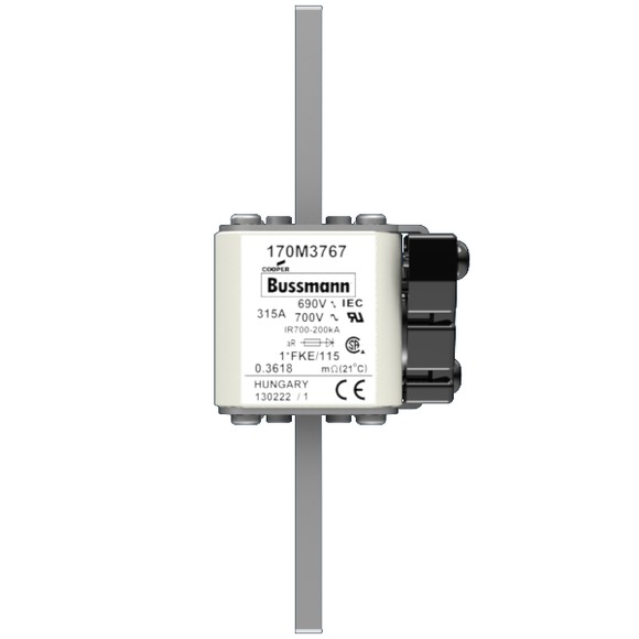 170M3767 Быстрый предохранитель 315A 690V 1*FKE/115 AR UC