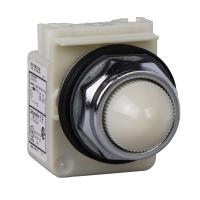 Schneider Electric 9001KP38LWW9 СИГН. ЛАМПА, 120В, 30 ММ