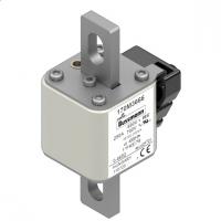 170M3666 Быстрый предохранитель 250A 690V 1*FKE/78 AR UC