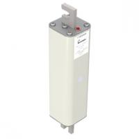 170E5449 Быстрый предохранитель 100A 2500V 1/210 AR