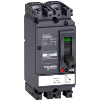 Schneider Electric 2П Автоматический выключатель NSX100S 80A AC/DC (арт.LV438619)