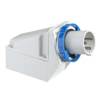 Schneider Electric 81578 НАСТЕН ВИЛКА, ВИНТ 63А 2P+E IP67 220В