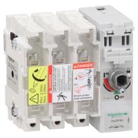 Schneider Electric GS2PPB3 КОРП. ВКЛ-РАЗ-ПРЕДОХ. 3P.315A