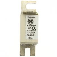170M2665 Быстрый предохранитель 125A 690V 00TN/80 AR UR