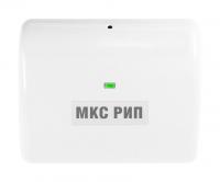 МКС РИП
