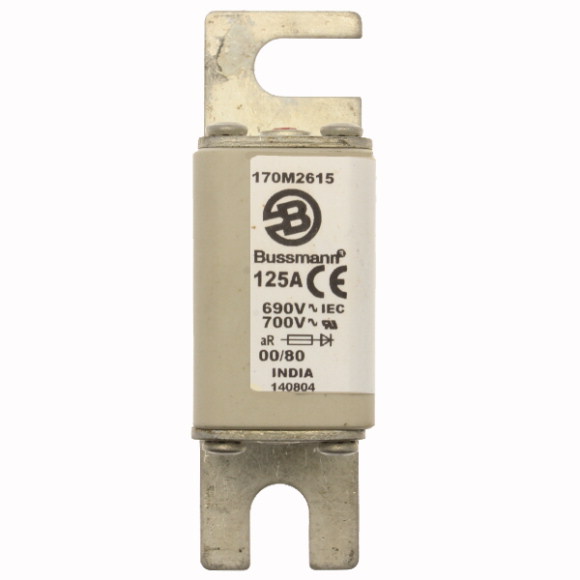 170M2615 Быстрый предохранитель 125A 690V 00/80 AR UR