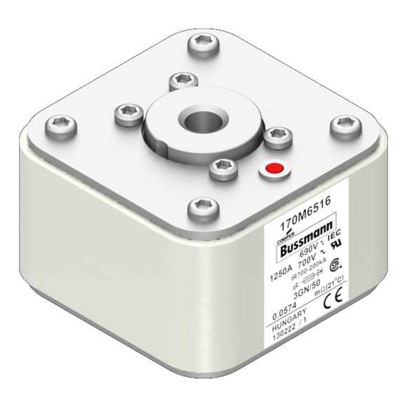 170M6516 Быстрый предохранитель 1250A 690V 3GN/50 AR UC