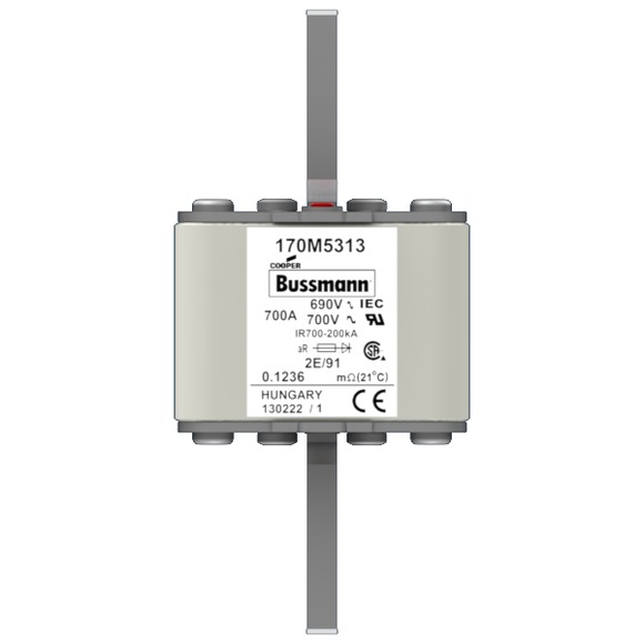170M5313 Быстрый предохранитель 700A 690V 2E/91 AR UC