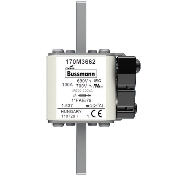 170M3662 Быстрый предохранитель 100A 690V 1*FKE/78 AR UC