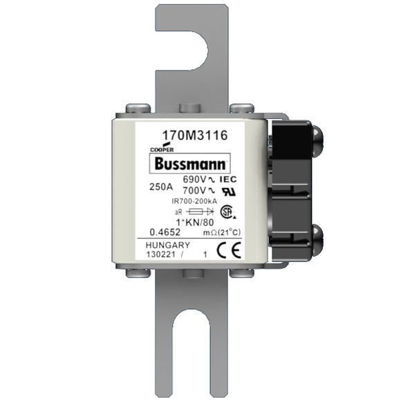 170M3031 Быстрый предохранитель 250A 690V 1*KN/80 AR