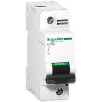 Schneider Electric АВТОМАТИЧЕСКИЙ ВЫКЛ. C120N 1П 80A D (арт.A9N18379)