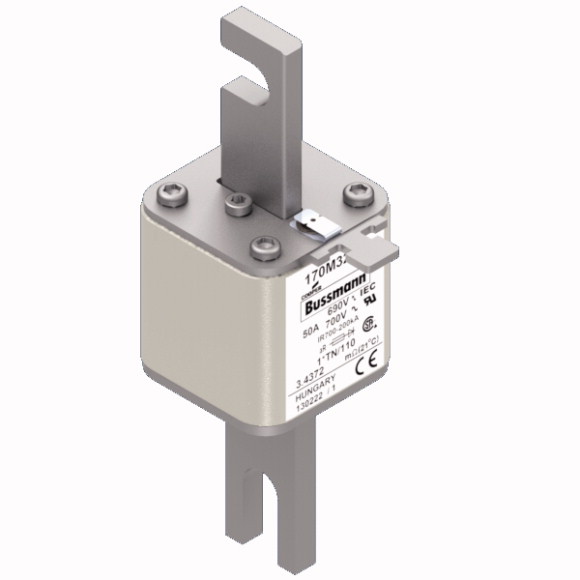 170M3209 Быстрый предохранитель 50A 690V 1*TN/110 AR UC
