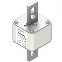 170M5616 Быстрый предохранитель 1000A 690V 2FU/90 AR UC