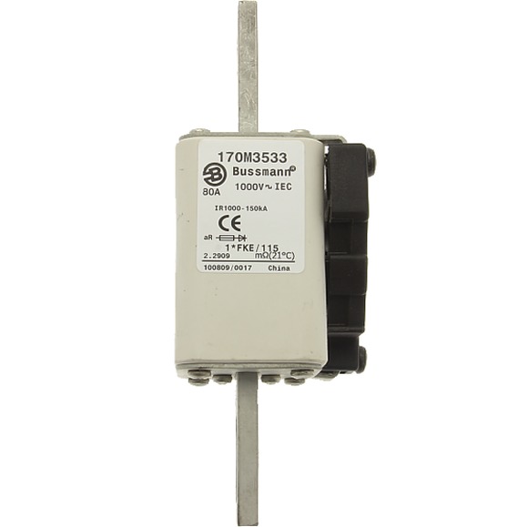 170M3536 Быстрый предохранитель 160A 1000V 1*FKE/115 AR