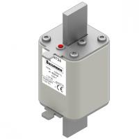 170M4724 Быстрый предохранитель 100A 1250V 1SHT AR