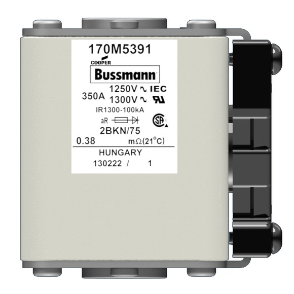 170M5391 Быстрый предохранитель 350A 1250V 2BKN/75 AR CU