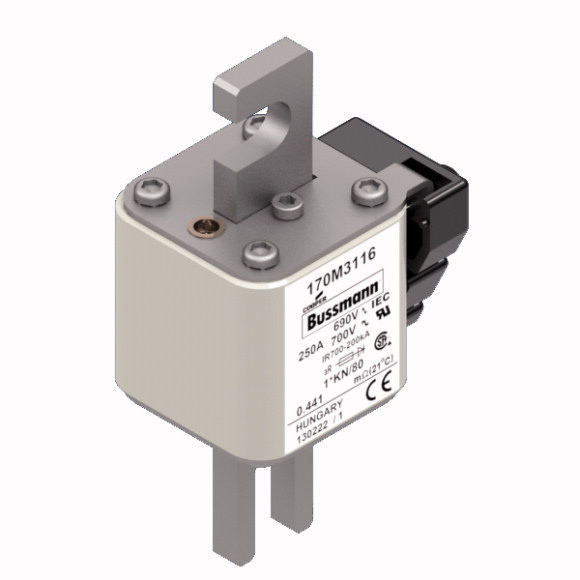 170M3116 Быстрый предохранитель 250A 690V 1*KN/80 AR UC