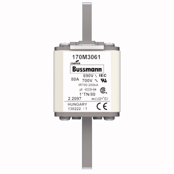 170M3061 Быстрый предохранитель 80A 690V 1*TN/80 AR UR