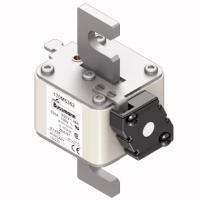 170M5362 Быстрый предохранитель 630A 690V 2EK/91 AR UC