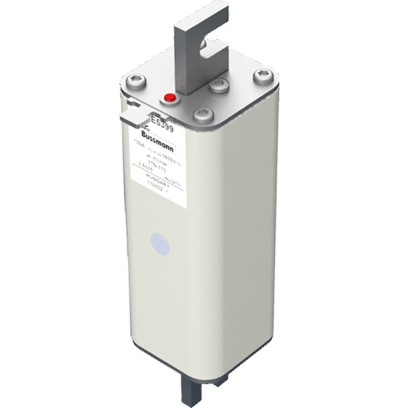 170E5399 Быстрый предохранитель 100A 1600V 1TN/170 AR