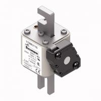 170M3116 Быстрый предохранитель 250A 690V 1*KN/80 AR UC