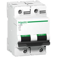 Schneider Electric АВТОМАТИЧЕСКИЙ ВЫКЛ. C120N 2П 80A C (арт.A9N18361)