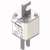 170M3066 Быстрый предохранитель 250A 690V 1*TN/80 AR UC
