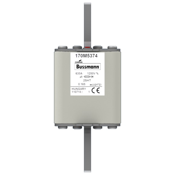 170M5371 Быстрый предохранитель 450A 690V 2SHT AR