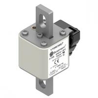 170M3667 Быстрый предохранитель 315A 690V 1*FKE/78 AR UC