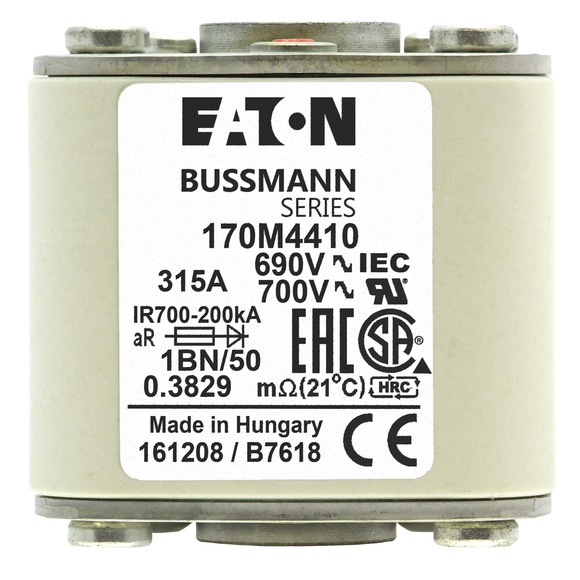 170M4410 Быстрый предохранитель 315A 690V 1BN/50 AR UC