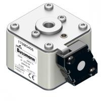 170M5406 Быстрый предохранитель 250A 660V 2BKN/50 AR