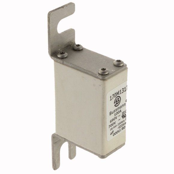170M1317 Быстрый предохранитель 100A 690V 000U/80 AR UC