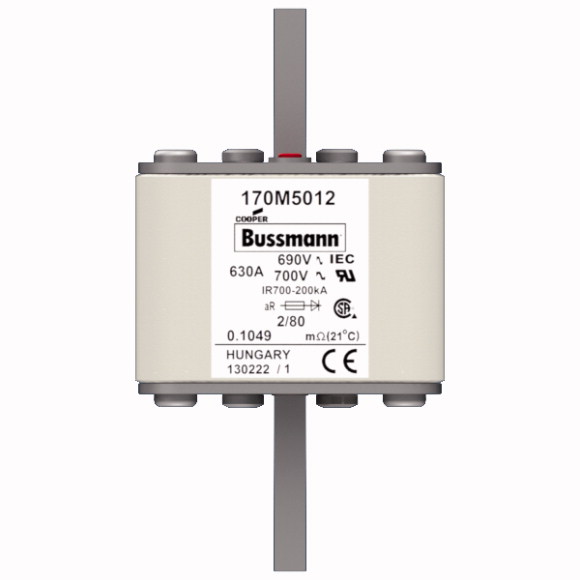 170M5012 Быстрый предохранитель 630A 690V 2/80 AR UC