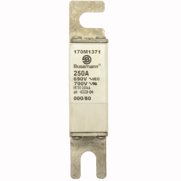 170M1371 Быстрый предохранитель 250A 690V 000/80 AR UC